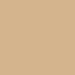 Bresser Bresser Sbp15 Fond De Studio En Papier 2,72 X 11M Beige | Fonds Papier