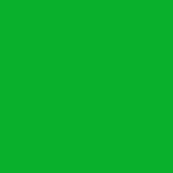 Bresser Bresser Sbp10 Fond De Studio Papier Sur Rouleau 3,56 X 15M Vert Chromakey | Fonds Papier