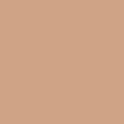 Bresser Bresser Sbp29 Fond De Studio Papier Sur Rouleau 1,36 X 11M Brillant Beige | Fonds Papier