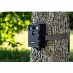 Bresser Bresser Camera Pour Faune Sauvage 5 Mp Full-Hd Avec Capteur De Mouvement Pir | Camping